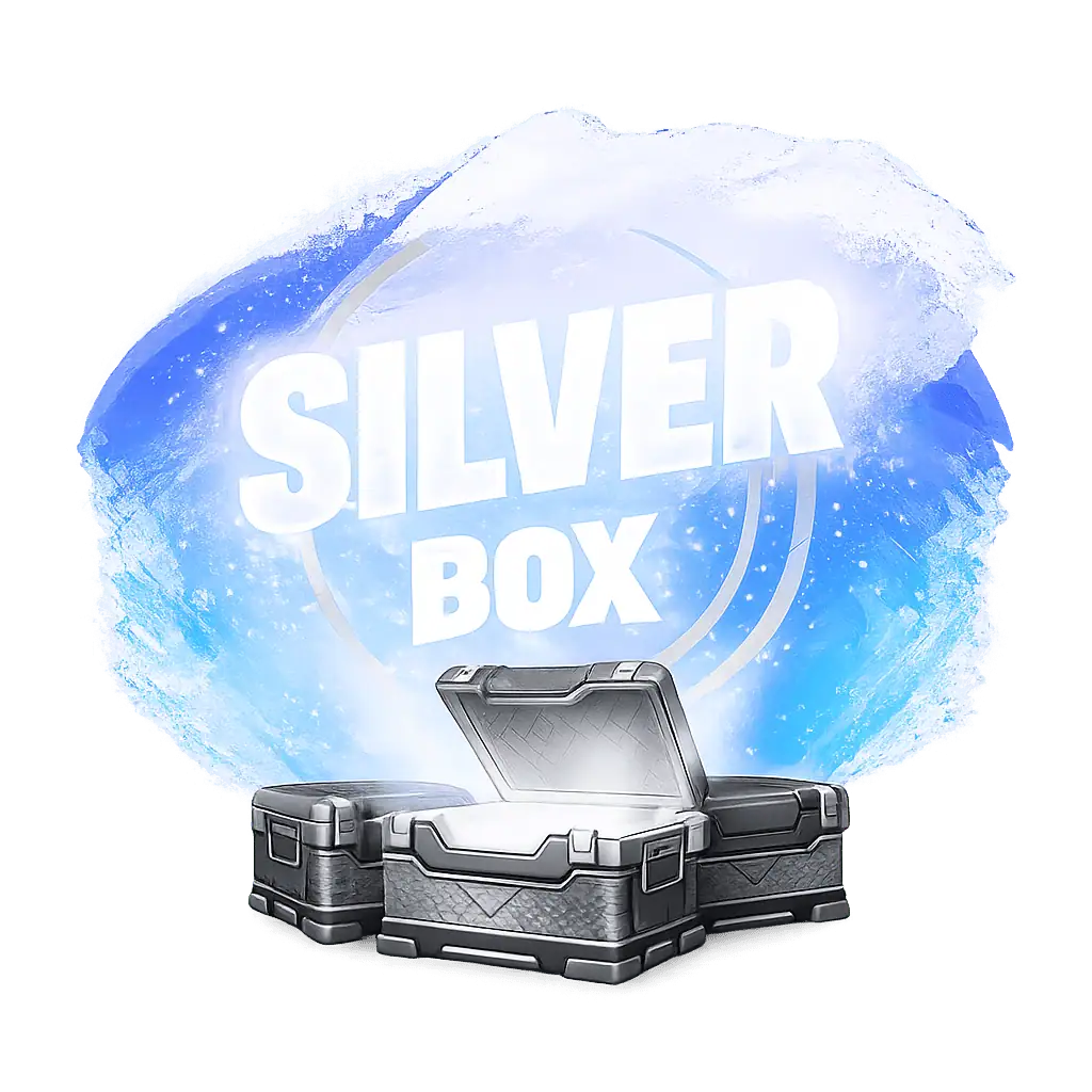 Silver Box